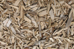 biomass boilers Ratfyn